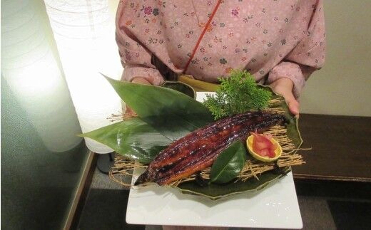 sz003高知県産うなぎかば焼き