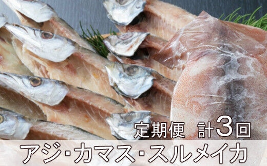 iz030黒潮干物１１枚定期便【全３回】