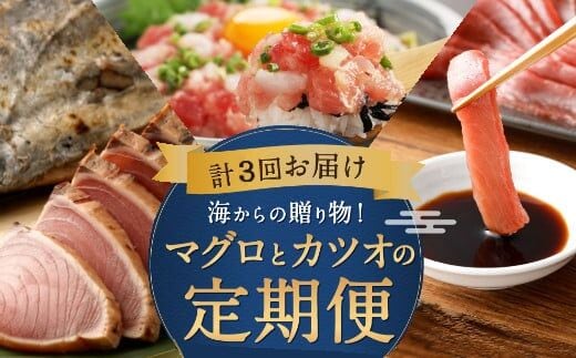 tk005海からの贈り物！マグロとカツオの定期便【３回お届け】 海鮮 魚 刺身 マグロ カツオ 刺身
