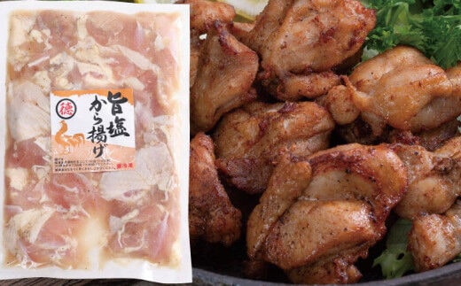 yj009徳さんの旨塩唐揚げ