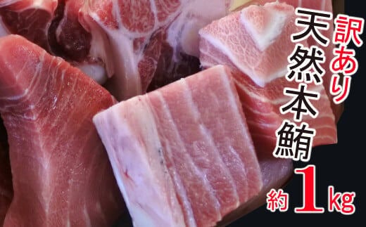 ge012【訳あり】厳選天然本マグロ 約１ｋｇ