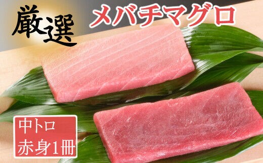 mh014厳選メバチマグロ赤身、中トロ食べくらべ【誉丸】