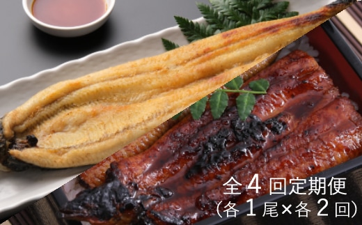 yj055蒲焼き・白焼きを交互にお届け！国産うなぎ１尾【全４回定期便】