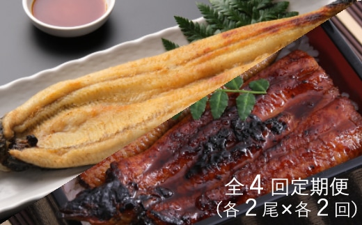 yj058蒲焼き・白焼きを交互にお届け！国産うなぎ２尾【全４回定期便】
