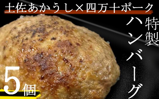 yj070土佐あかうしと四万十ポークのハンバーグ ５個セット