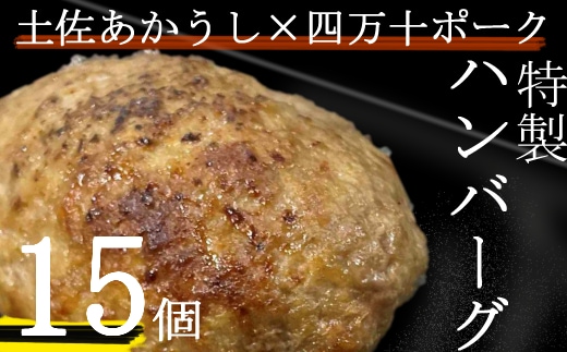 yj072土佐あかうしと四万十ポークのハンバーグ １５個セット