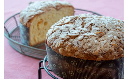 A-155 ベネチアーナ