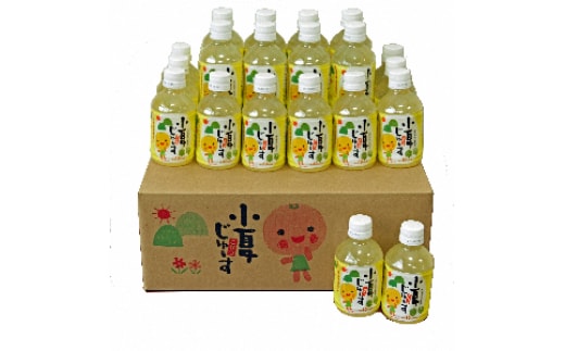 A-99 小夏じゅーす （２４本セット）