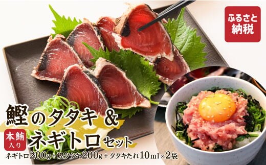 本鮪入りネギトロ・鰹のタタキのセット ネギトロ200g かつおタタキ200g かつおのタタキ 鰹 ねぎとろ ネギトロ丼 鮪 まぐろたたき 海鮮 丼もの 詰め合わせ セット 冷凍 食品 おいしい お取り寄せグルメ おつまみ 酒の肴 故郷納税 高知 土佐市 返礼品