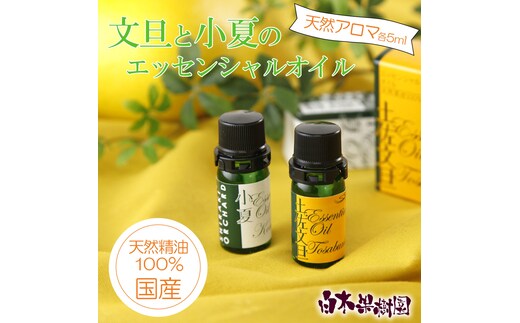 文旦・小夏エッセンシャルオイル（アロマオイル）セット（１００％天然植物精油）5ml×2本