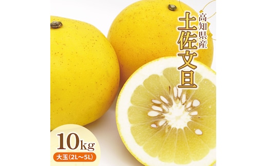 土佐文旦（ぶんたん）（大玉：２Ｌ～５Ｌ混合）約１０ｋｇ【株式会社とさもん（土佐市）】 