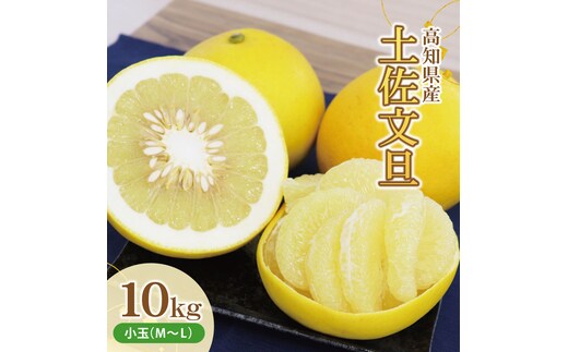 土佐文旦（ぶんたん）（小玉サイズ：Ｍ～Ｌ混合）約１０ｋｇ 株式会社とさもん（土佐市）厳選 文旦 10キロ 約25～30玉 ぶんたん ブンタン 果物 柑橘 フルーツ お取り寄せ おいしい 美味しい