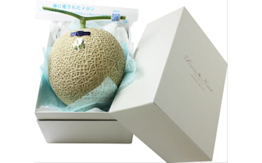 【先行予約】プリンセスニーナ 土佐市産メロン