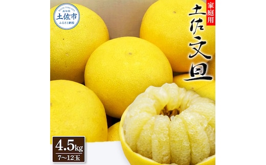 生産者直送 土佐文旦 4.5kg [サイズおまかせ 2L～4L] 家庭用 文旦 柑橘 みかん フルーツ ぶんたん ブンタン 果物 お取り寄せ おいしい 美味しい 故郷納税 ふるさとのうぜい 返礼品 高知県 高知【2026年1月下旬より発送】