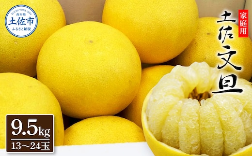 生産者直送 土佐文旦9.5kg[2L～4L]家庭用 ぶんたん ブンタン フルーツ 柑橘 果物 お取り寄せ おいしい 美味しい 故郷納税 ふるさとのうぜい 返礼品 高知県 高知