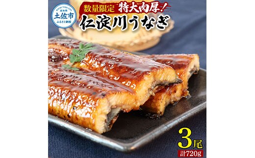 【数量限定】うなぎ うなぎ蒲焼き 国産 特大 3尾セット タレ付き 1尾200g超え 仁淀川 太化うなぎ おいしい 人気 冷凍 真空パック 夏【株式会社山本養鰻】 [BQAL001]