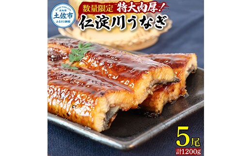 【数量限定！】仁淀川特大肉厚うなぎ5尾セット 鰻 うなぎ 仁淀川 四万十 肉厚 スタミナ 疲労回復 ウナギ お取り寄せグルメ 高知 鰻蒲焼き 故郷納税 ふるさとのうぜい 返礼品 高知県 高知 国産