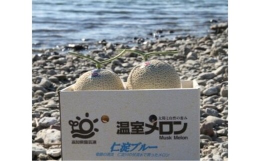 【先行予約】 仁淀ブルー温室メロン 