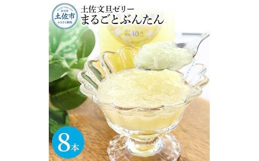 土佐文旦ゼリー『まるごとぶんたん』8本セット ぜりー ブンタン ぶんたん フルーツ 果物 柑橘 みかん お菓子 おかし おやつ デザート スイーツ おいしい 爽やか シャーベット お取り寄せ