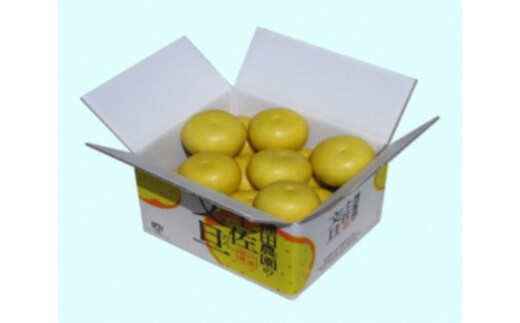 【訳あり】【先行予約】高知県産 土佐文旦 訳あり 約5kg 8～10玉入〈2027年2月〜発送〉 ぶんたん ブンタン 果物 柑橘 フルーツ お取り寄せ おいしい 美味しい 高知県 土佐市【株式会社種田農園】[BQBW004]