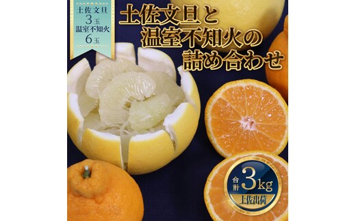土佐文旦と温室不知火(シラヌイ)の詰め合わせ 約3kg セット 詰め合わせ ぶんたん ブンタン 果物 フルーツ 柑橘 しらぬい みかん ミカン 故郷納税 ふるさとのうぜい 返礼品 高知県 高知