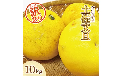 【訳あり】土佐文旦（ぶんたん）家庭用（M～５Ｌ）約１０ｋｇ【株式会社とさもん（土佐市）厳選】 文旦 10キロ 約10～30玉 ぶんたん 柑橘 果物 フルーツ 訳あり お取り寄せ おいしい 美味しい 名産 人気