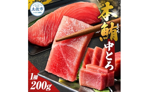 本鮪 中トロ200g トロ マグロ まぐろ 本まぐろ 刺身 刺し身 魚 海鮮 冷凍 美味しい おいしい 故郷納税 ふるさとのうぜい 返礼品 高知県 高知