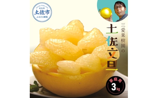 【先行予約】三愛果樹園の土佐文旦 家庭用約3kg 2月～3月発送 文旦 みかん 柑橘 ぶんたん ブンタン 果物 フルーツ お取り寄せ おいしい 美味しい 故郷納税 ふるさとのうぜい 返礼品 高知県 高知