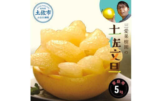【先行予約】文旦 三愛果樹園の土佐文旦 家庭用約5kg 2月～3月発送 みかん 柑橘 ぶんたん ブンタン 果物 フルーツ お取り寄せ おいしい 美味しい 故郷納税 ふるさとのうぜい 返礼品 高知県 高知
