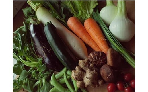 【土佐野菜】旬の野菜の詰め合わせと栽培期間中に農薬不使用の生姜100g付き【土佐市】旬の野菜 定期 生姜 野菜 健康 詰め合わせ セット 採れたて おいしい 美味しい 自然 新鮮 故郷納税 ふるさとのうぜい 返礼品 高知県 高知