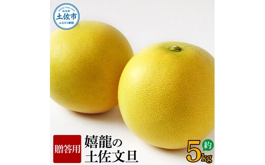 【先行予約】嬉龍の土佐文旦 贈答用 2～3Ｌサイズ 約5kg〈2027年1月中旬〜発送〉【嬉龍】