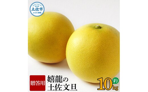 【先行予約】嬉龍の土佐文旦 贈答用 2～3Ｌサイズ 約10kg〈2027年1月中旬〜発送〉【嬉龍】
