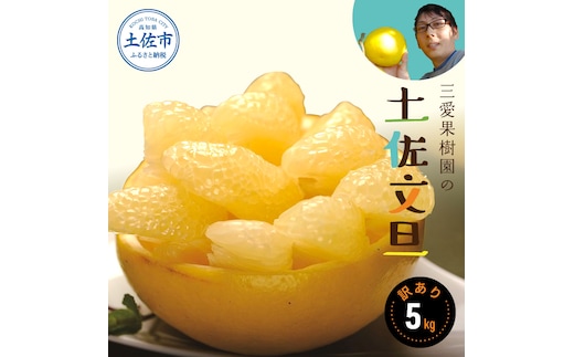 【訳あり】三愛果樹園の土佐文旦 約5kg 