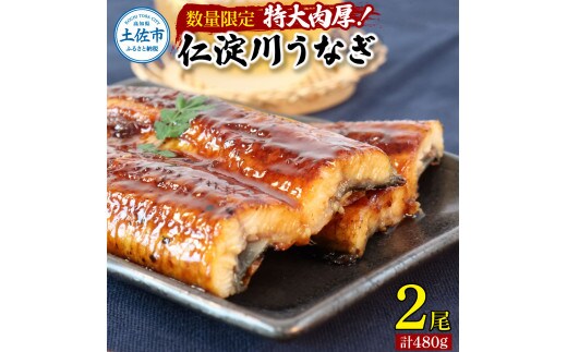 【数量限定】仁淀川特大肉厚うなぎ2尾セット タレ付き うなぎ 鰻 ウナギ 蒲焼き かば焼き 1尾200g超え 仁淀川 国産 太化うなぎ おいしい 人気 冷凍 真空パック 夏