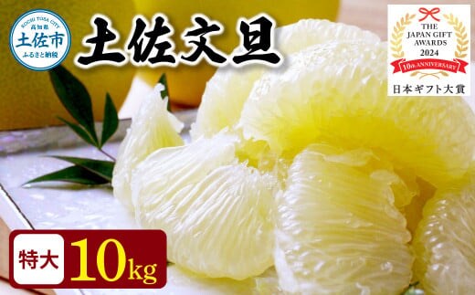 【日本ギフト大賞2024受賞】先行予約 園主こだわり土佐文旦 【10kg】特大4L 2026年1月下旬より順次発送 ぶんたん ブンタン 柑橘 フルーツ 果物 家庭用 お取り寄せ 土佐 高知 やの一果彩