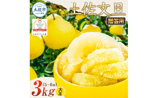 【日本ギフト大賞2024受賞】園主こだわり土佐文旦【化粧箱贈答用：大玉3kg】（3L～2L） 2026年1月下旬より順次発送 ぶんたん ブンタン 柑橘 フルーツ 果物 贈答 ギフト 土佐 高知 やの一果彩