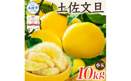 【日本ギフト大賞2024受賞】【先行予約】文旦 小玉 10kg（L～M）2026年1月下旬より順次発送 土佐文旦 みかん 柑橘 ぶんたん ブンタン 果物 フルーツ お取り寄せ おいしい 家庭用 贈答用 土佐市 高知 ふるさと納税 春 旬 返礼品 高知県 高知 18000円