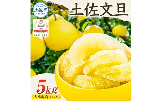 【日本ギフト大賞2024受賞】先行予約 園主こだわりの土佐文旦 5キロ 大小混合（４L - Mサイズ） 2026年1月下旬より順次発送 ぶんたん ブンタン 柑橘 みかん フルーツ 果物 家庭用 お取り寄せ 土佐 高知 やの一果彩