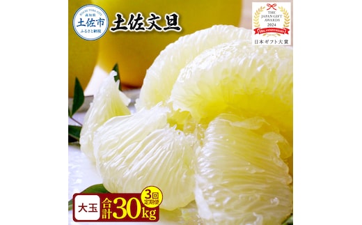 〈3回定期便〉園主こだわりの土佐文旦 10キロ（18 - 24玉） 2月 - 4月にお届け！ 先行予約 定期コース 3ヶ月 ぶんたん ブンタン 柑橘 みかん フルーツ 果物 家庭用 お取り寄せ 土佐 高知