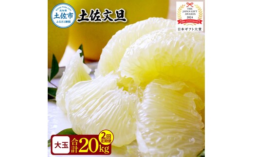 〈2回定期便〉園主こだわりの土佐文旦 10キロ（18 - 24玉） 2月・3月にお届け！ 先行予約 定期コース 2ヶ月 ぶんたん ブンタン 柑橘 みかん フルーツ 果物 家庭用 お取り寄せ 土佐 高知