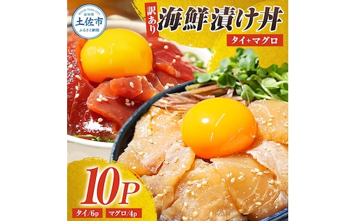 訳あり海鮮漬け丼（タイ6P・マグロ4P）セット 漬け丼 漬け 鯛 鮪 マグロ 赤身 食べ比べ 海鮮 魚 冷凍 食品 保存食 小分け 高知 土佐 海鮮丼 漬け丼 ぶっかけ お茶漬け 鯛めし 惣菜 そうざい 訳アリ わけあり 不揃い 規格外 故郷納税 返礼品