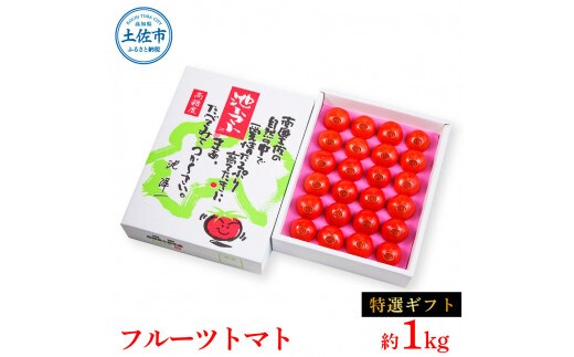 ＜2026年1月下旬より発送＞フルーツトマト特選ギフト約1kg トマト フルーツトマト 池トマト 糖度10度以上 高糖度 高知県産 ギフト 箱入り 贈答用 贈り物 健康 美味しい ふるーつとまと お取り寄せグルメ