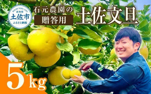 【先行予約】石元農園の土佐文旦 贈答用約5キロ（7～12玉）〈2027年2月～発送〉期間限定 文旦 5kg ぶんたん 果物 柑橘 フルーツ 高知県産 お取り寄せグルメ ギフト 贈答 贈り物【石元農園】 [BQBH003]