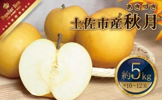 【先行予約】高知県土佐市産 梨（秋月）約5kg 10～12玉 〈2026年9月10日頃～9月30日頃発送〉 あきづき なし ナシ 5キロ 国産 フルーツ 果物 くだもの デザート スイーツ 旬 甘い 果汁たっぷり ジューシー【株式会社とさもん】[BQAE021]