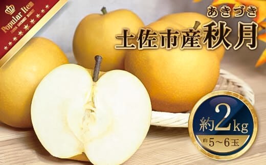 【先行予約】高知県土佐市産 梨（秋月）約2kg 5～6玉 〈2026年9月10日頃～9月30日頃発送〉 あきづき なし ナシ 2キロ 国産 フルーツ 果物 くだもの デザート スイーツ 旬 甘い 果汁たっぷり ジューシー【株式会社とさもん】[BQAE019]