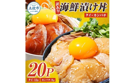 訳あり海鮮漬け丼（タイ12P・カンパチ8P）セット 漬け丼 漬け 鯛 かんぱち 勘八 白身魚 食べ比べ 海鮮 魚 冷凍 食品 保存食 小分け 高知 土佐 海鮮丼 漬け丼 ぶっかけ 鯛めし 惣菜 そうざい 訳アリ わけあり 不揃い 規格外 故郷納税 返礼品