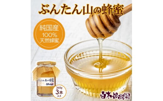 【先行予約】爽やかな香り広がる100%天然蜂蜜 ぶんたん山の蜂蜜 360g 3本入り〈2026年6月頃から順次発送〉 / はちみつ ハチミツ 高知県産 国産 天然はちみつ 土佐 高知 【白木果樹園】【白木果樹園】 [BQAI055]