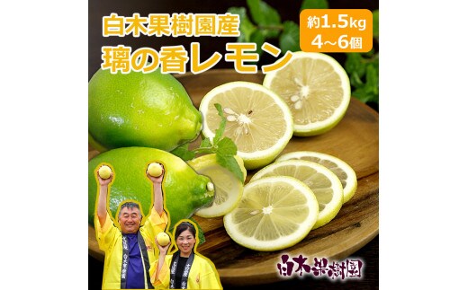 【先行予約】璃の香レモン 約1.5kg （4～6個）訳ありご家庭用 〈2026年8月下旬～9月下旬頃発送〉 / 果物 柑橘 フルーツ レモン 高知県土佐市 お取り寄せ 産地直送 おいしい 美味しい 白木果樹園【白木果樹園】 [BQAI023]