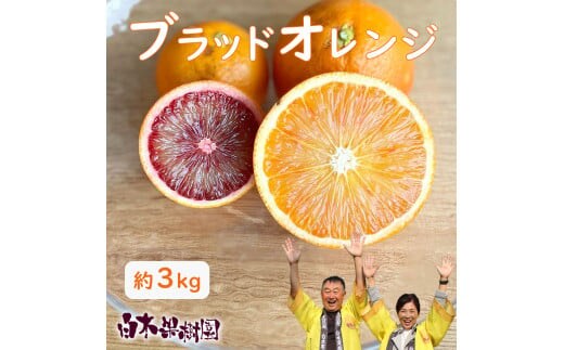 【先行予約】ブラッドオレンジ 約3kg 〈2027年2月中旬～3月中旬頃発送〉 / 果物 柑橘 フルーツ オレンジ 高知県土佐市 お取り寄せ 産地直送 おいしい 美味しい 白木果樹園【白木果樹園】 [BQAI042]
