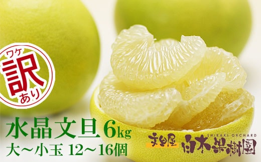 【先行予約】水晶文旦 ご家庭用お得箱 約6kg Mサイズ～4Ｌサイズ（12～16個入り）〈2026年10月上旬～11月上旬頃発送〉 / 訳あり ワケあり 訳 傷 キズ へこみ 文旦 ブンタン ぶんたん 水晶文旦 果物 柑橘【白木果樹園】 [BQAI022]
